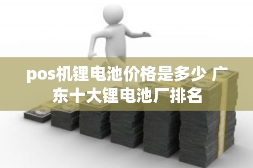 pos机锂电池价格是多少 广东十大锂电池厂排名