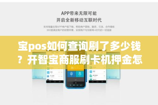 宝pos如何查询刷了多少钱?开智宝商服刷卡机押金怎么退 宝pos如何查询刷了多少钱?开智宝商服刷卡机押金怎么退