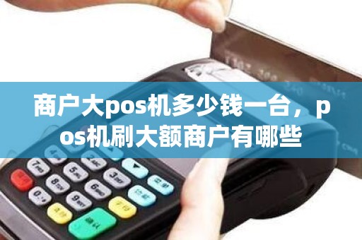 商户大pos机多少钱一台,pos机刷大额商户有哪些 商户大pos机多少钱一台,pos机刷大额商户有哪些