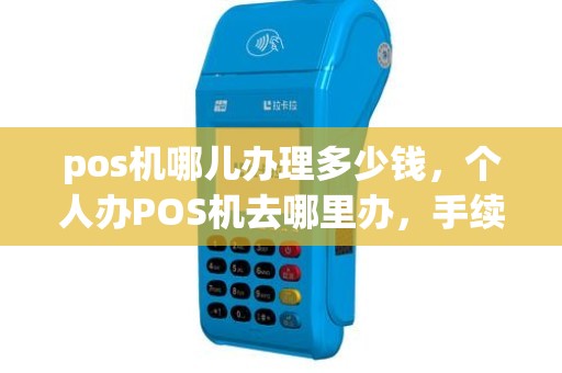 pos机哪儿办理多少钱，个人办POS机去哪里办，手续都需要什么，什么价位