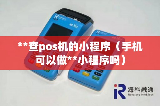 **查pos机的小程序（手机可以做**小程序吗）
