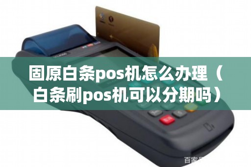 固原白条pos机怎么办理（白条刷pos机可以分期吗）
