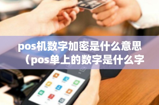 pos机数字加密是什么意思（pos单上的数字是什么字体）