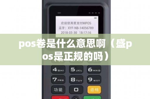 pos卷是什么意思啊（盛pos是正规的吗）