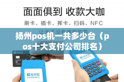 扬州pos机一共多少台（pos十大支付公司排名）