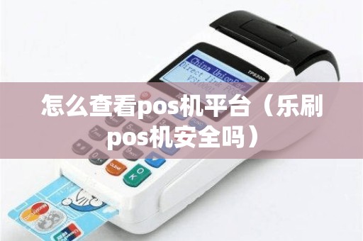怎么查看pos机平台（乐刷pos机安全吗）