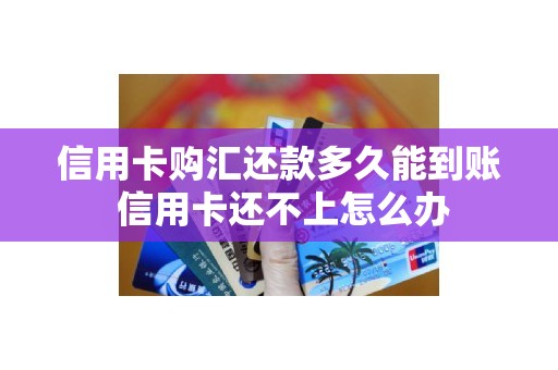 信用卡购汇还款多久能到账 信用卡还不上怎么办