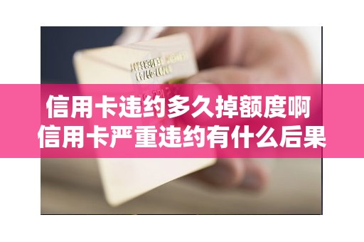 信用卡违约多久掉额度啊 信用卡严重违约有什么后果