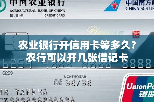 农业银行开信用卡等多久？农行可以开几张借记卡