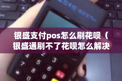 银盛支付pos怎么刷花呗（银盛通刷不了花呗怎么解决）