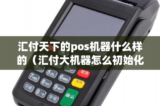 汇付天下的pos机器什么样的（汇付大机器怎么初始化）