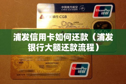 浦发信用卡如何还款（浦发银行大额还款流程）
