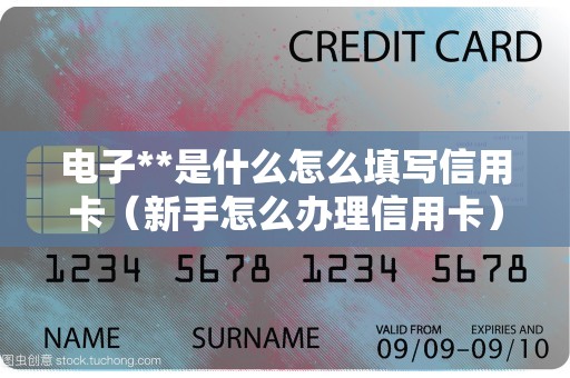 电子**是什么怎么填写信用卡（新手怎么办理信用卡）