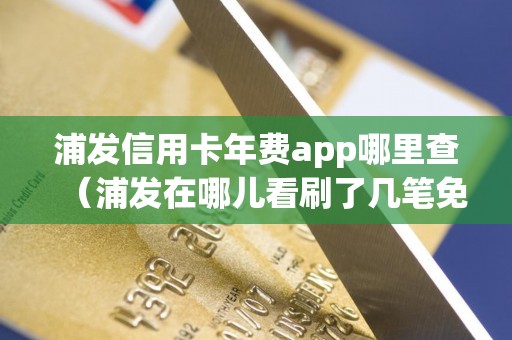 浦发信用卡年费app哪里查（浦发在哪儿看刷了几笔免年费）