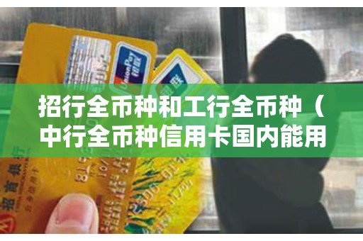 招行全币种和工行全币种（中行全币种信用卡国内能用吗）