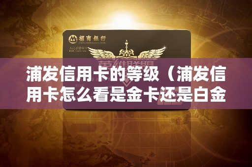 浦发信用卡的等级（浦发信用卡怎么看是金卡还是白金卡）