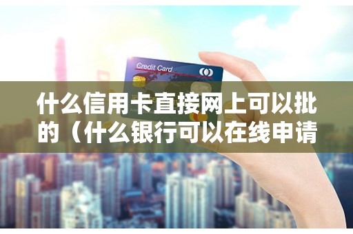 什么信用卡直接网上可以批的（什么银行可以在线申请银行卡）