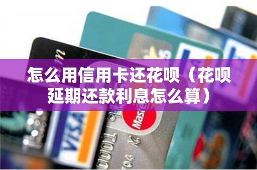 怎么用信用卡还花呗(花呗延期还款利息怎么算) 怎么用信用卡还花呗(花呗延期还款利息怎么算)