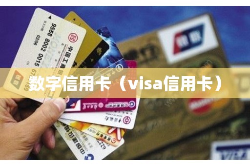 数字信用卡（visa信用卡）