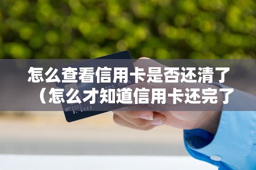 怎么查看信用卡是否还清了（怎么才知道信用卡还完了）