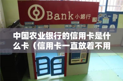 中国农业银行的信用卡是什么卡（信用卡一直放着不用可以吗）