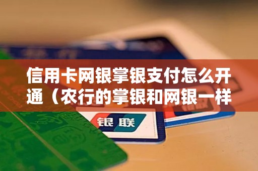信用卡网银掌银支付怎么开通（农行的掌银和网银一样吗）