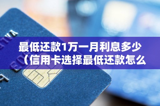 最低还款1万一月利息多少（信用卡选择最低还款怎么算利息）