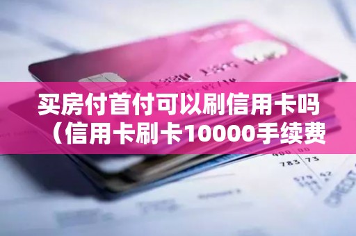 买房付首付可以刷信用卡吗（信用卡刷卡10000手续费多少）