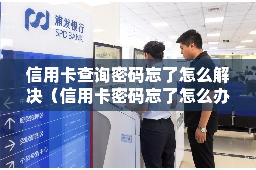 信用卡查询密码忘了怎么解决（信用卡密码忘了怎么办）