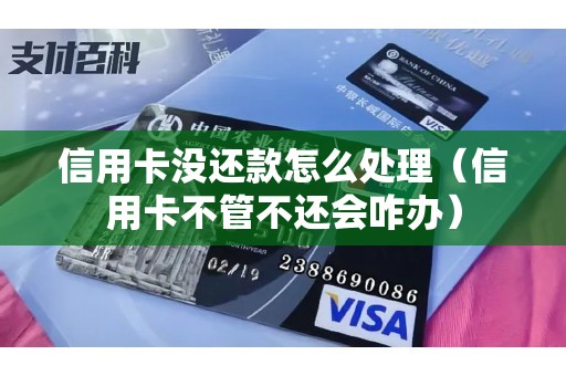 信用卡没还款怎么处理（信用卡不管不还会咋办）