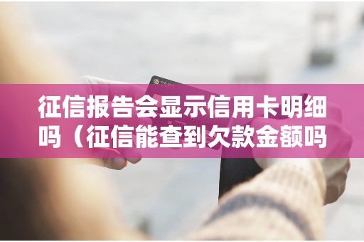 征信报告会显示信用卡明细吗（征信能查到欠款金额吗）