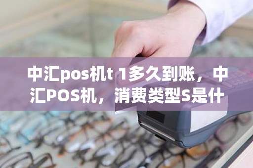 中汇pos机t 1多久到账，中汇POS机，消费类型S是什么意思