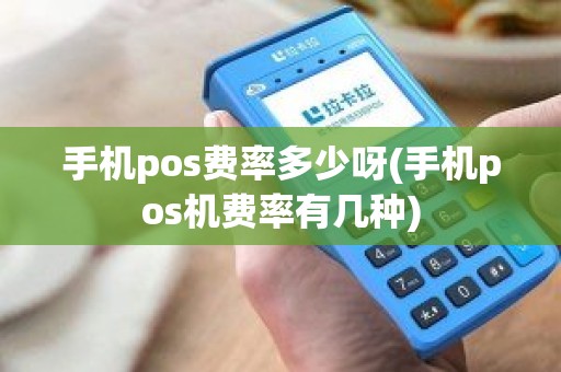 手机pos费率多少呀(手机pos机费率有几种)