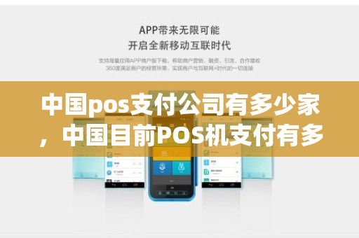 中国pos支付公司有多少家，中国目前POS机支付有多少家公司