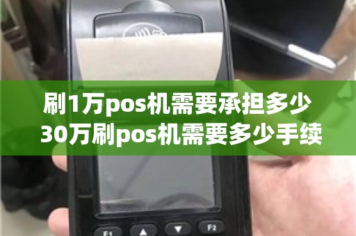 刷1万pos机需要承担多少 30万刷pos机需要多少手续
