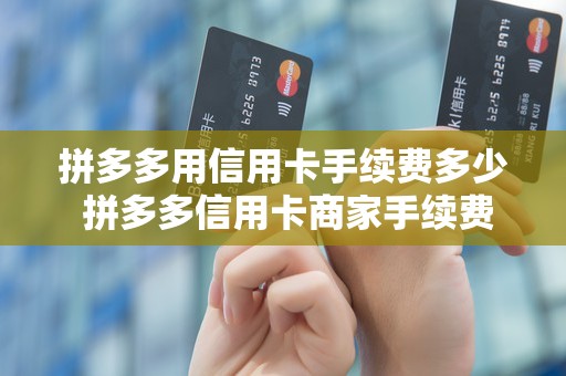 拼多多用信用卡手续费多少 拼多多信用卡商家手续费多少 拼多多用信用卡手续费多少 拼多多信用卡商家手续费多少