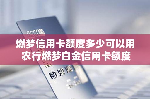 燃梦信用卡额度多少可以用 农行燃梦白金信用卡额度