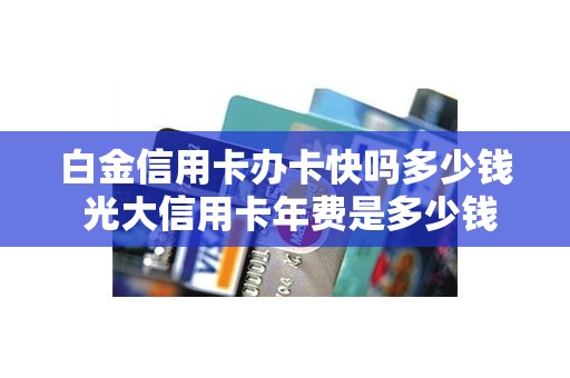 白金信用卡办卡快吗多少钱 光大信用卡年费是多少钱