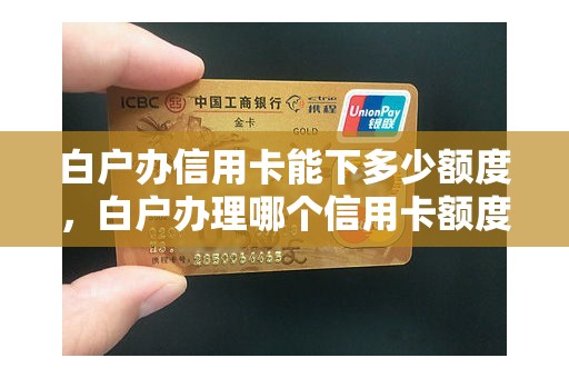 白户办信用卡能下多少额度，白户办理哪个信用卡额度大