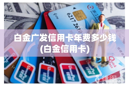 白金广发信用卡年费多少钱(白金信用卡)
