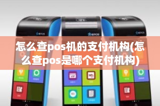 怎么查pos机的支付机构(怎么查pos是哪个支付机构)