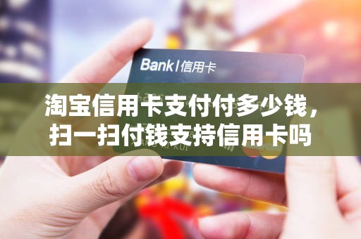 淘宝信用卡支付付多少钱，扫一扫付钱支持信用卡吗