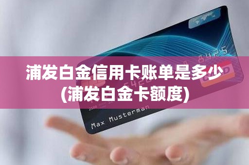 浦发白金信用卡账单是多少(浦发白金卡额度)
