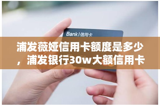浦发薇娅信用卡额度是多少，浦发银行30w大额信用卡