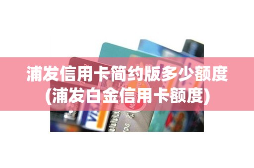 浦发信用卡简约版多少额度(浦发白金信用卡额度)