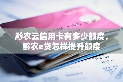 黔农云信用卡有多少额度，黔农e贷怎样提升额度