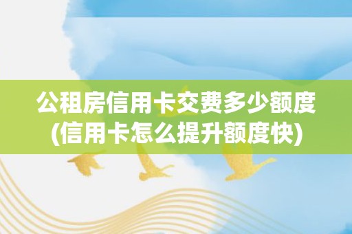 公租房信用卡交费多少额度(信用卡怎么提升额度快) 公租房信用卡交费多少额度(信用卡怎么提升额度快)