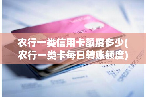 农行一类信用卡额度多少(农行一类卡每日转账额度)