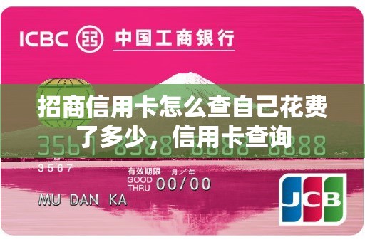 招商信用卡怎么查自己花费了多少，信用卡查询