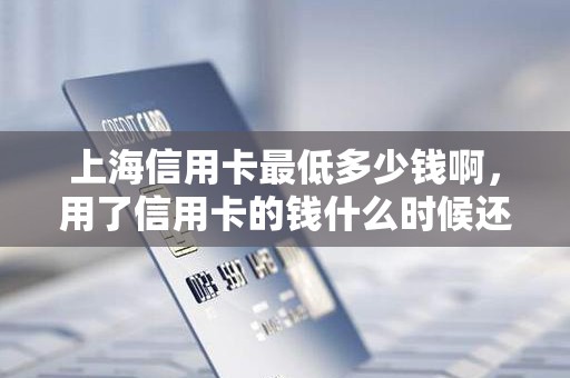 上海信用卡最低多少钱啊，用了信用卡的钱什么时候还